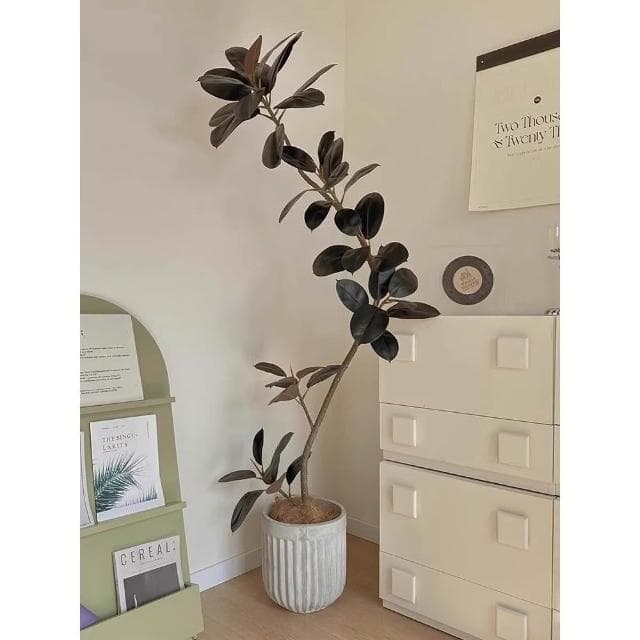 黑金剛仿真綠植橡皮樹客廳落地高端輕裝飾擺件仿生大型植物盆栽