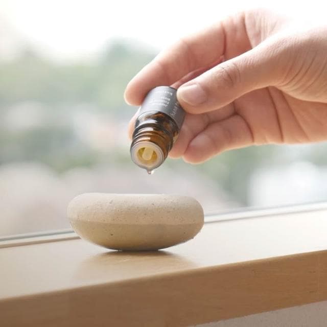 日本製 信樂燒 陶器香氛石 精油擴香石 香薰石