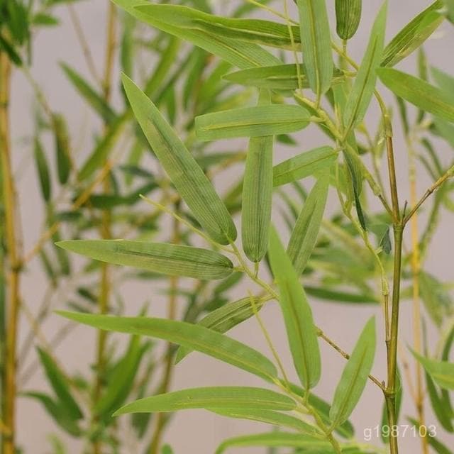 仿真竹子 裝飾 朔料花 裝飾 仿真竹子 假竹子 室內裝飾 仿真植物 隔斷 屏風 室外盆栽 造景 帶梢細毛竹 室內裝飾