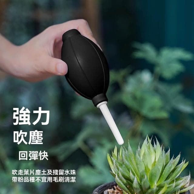 盆栽種植工具套裝 多肉工具套裝 盆栽種植家用植物修剪微景觀迷你小鏟子花鏟 14件套加實木工具盒