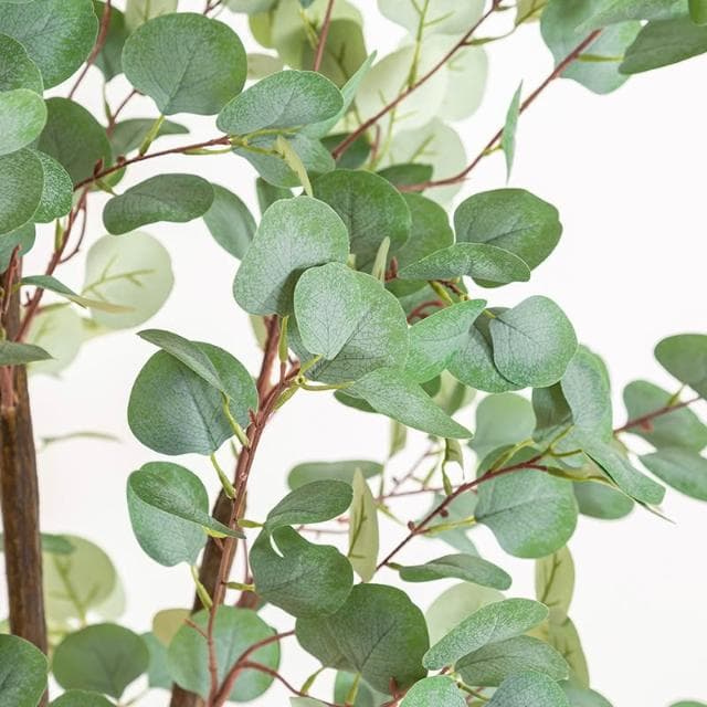 北歐ins仿真尤加利盆栽家居辦公大型落地假植物仿真金錢樹綠植