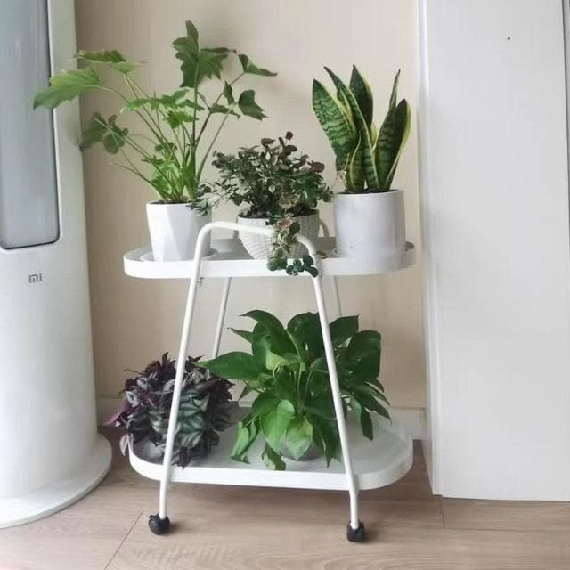 輕奢花架 花盆架 置物架 客廳鐵藝花架 臥室置物架 落地陽臺花架 多肉花盆託架盆栽架子植物擺放架 高貴花架