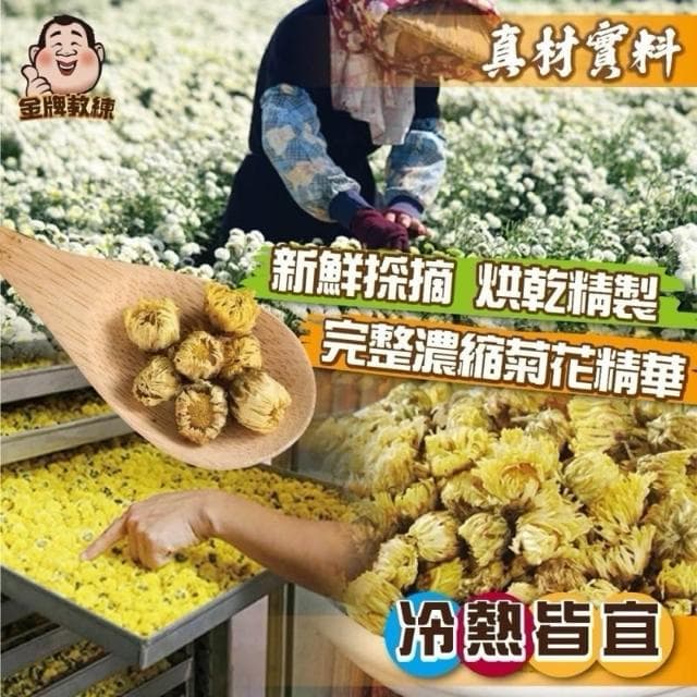 雙雙的店 苗栗銅鑼菊花茶包3g±5%x18入