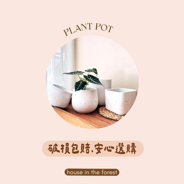 水泥盆 仿水磨石橢圓盆 水泥材質花盆 北歐風盆栽 觀葉植物適用 水磨石紋理 多肉專用盆