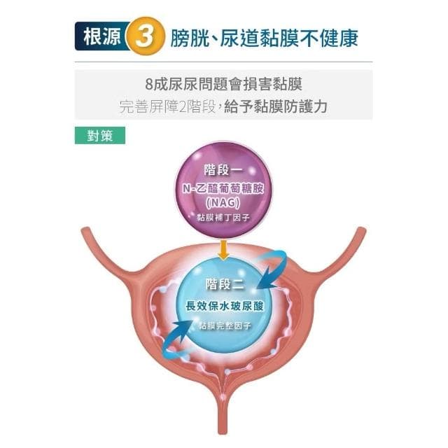 【MORESON 木入森】貓咪泌尿保健 30顆 60顆/盒 好規泌(泌尿保健 補充營養 貓咪保健品 貓咪保養品)