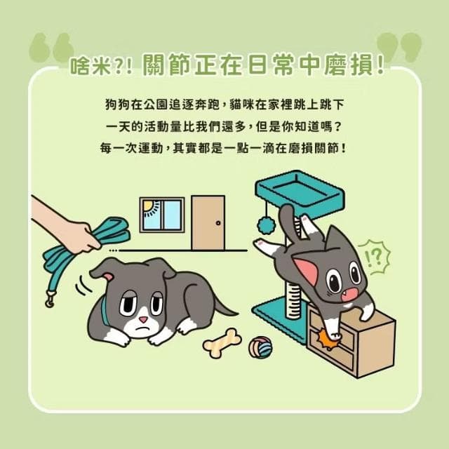 【怪獸部落】OK!軟骨素1.5G*30入/盒(關節保健 骨頭保健 寵物保健品 寵物保養品)