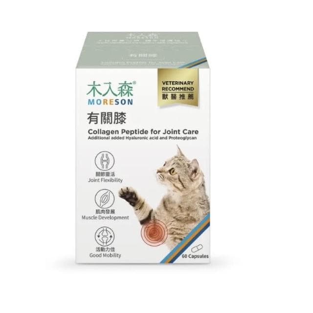 【MORESON 木入森】貓咪關節保健 30顆 60顆/盒 有關膝(骨骼保健 補充營養 貓咪保健品 貓咪保養品)