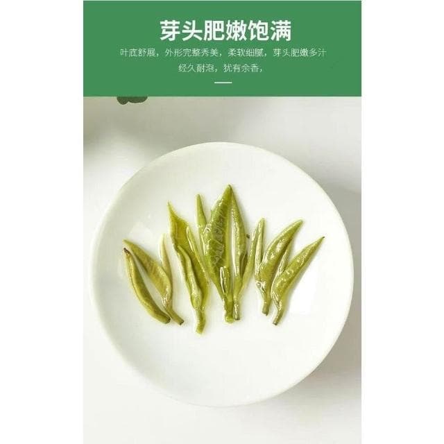 Camelliar茉莉香螺花茶 濃香型花茶2024新茶葉廣西茉莉花500g