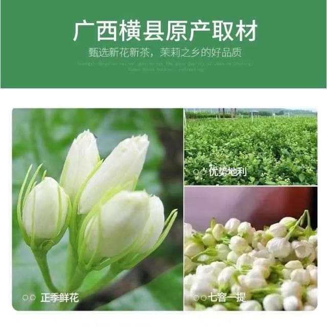 Camelliar茉莉香螺花茶 濃香型花茶2024新茶葉廣西茉莉花500g