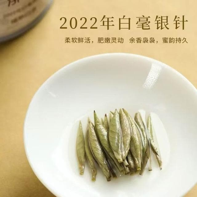 Camelliar頭春 福鼎白茶 白毫銀針 2022年 高山茶葉 老茶 老銀針 米粒芽 罐裝