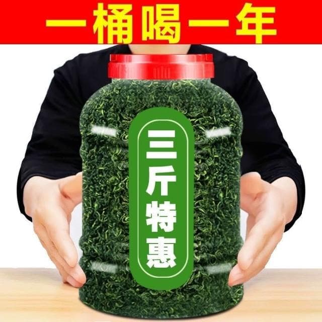Camelliar 2024新茶葉日照散裝綠茶茶葉 高山雲霧綠茶濃香 炒青綠茶