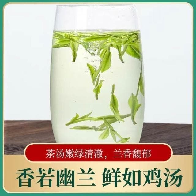 Camelliar 壹罐成茗 安吉珍稀白茶2023新茶明前特級正宗批發毛尖茶葉綠茶