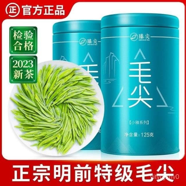 Camelliar 2024新茶上市 毛尖茶葉明前茶特級濃香型毛尖嫩芽茶葉上檔次