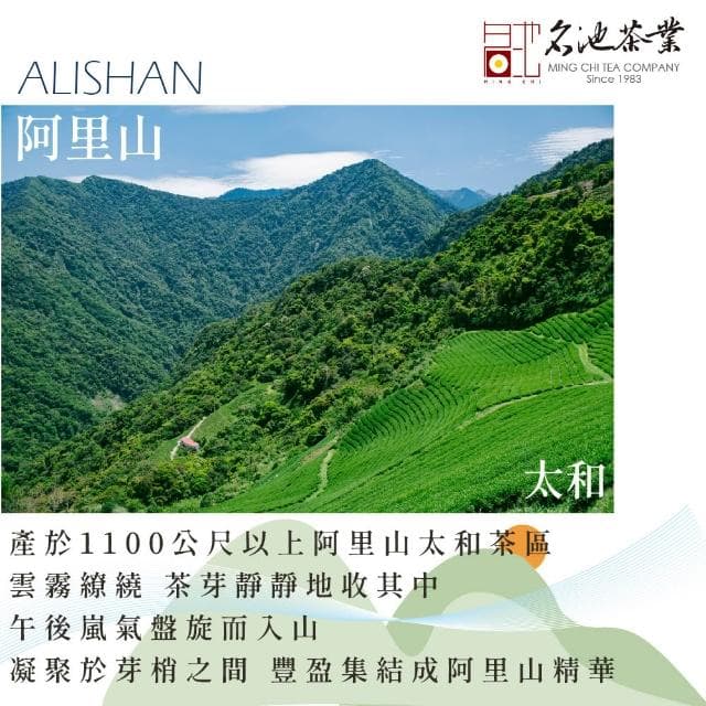 【名池茶業】皎白銀月阿里山高山烏龍茶葉150gx4包(共1斤)