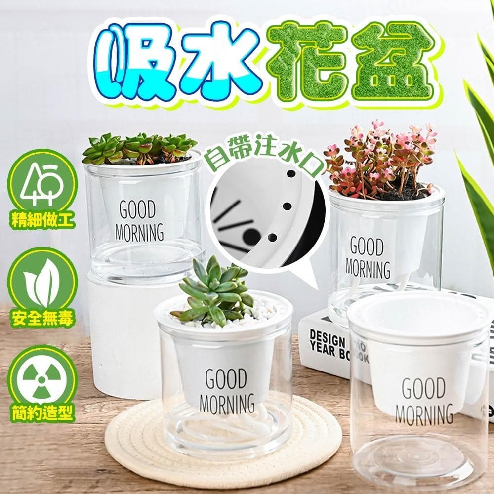 吸水花盆 懶人花盆 吸水花盆 透明花盆 水培花盆 懶人盆栽 植物花盆 自動吸水花盆 透明花盆 水培花盆