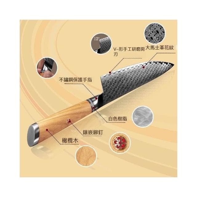 廚師菜刀67層大馬士革鋼刀具套裝專業切片刀水果刀高級鍛打刀