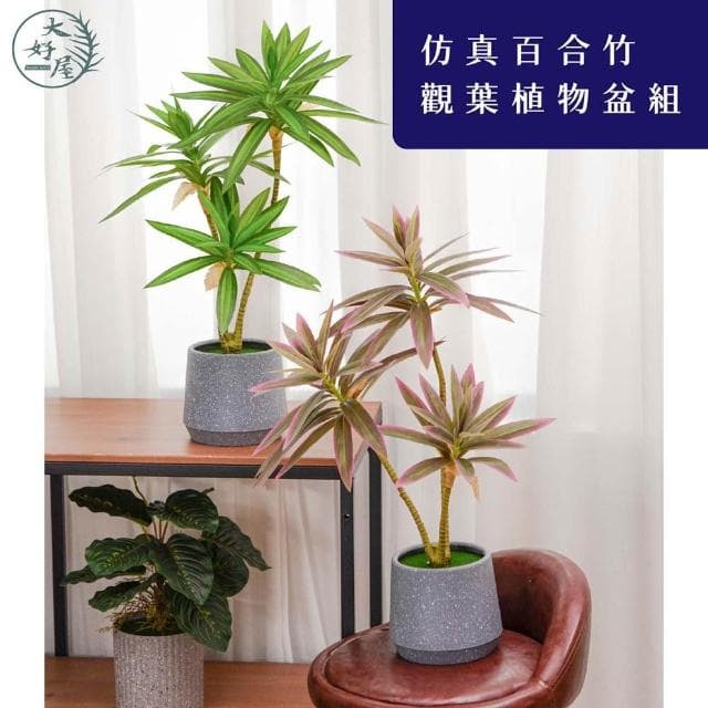 大好屋 仿真百合竹觀葉植物盆組 仿真綠植 仿真盆栽 室內擺件