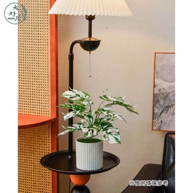 大好屋 仿真居家系觀葉植物盆組 龜背葉 春雨葉 仿真綠植 綠化盆栽 室內擺件