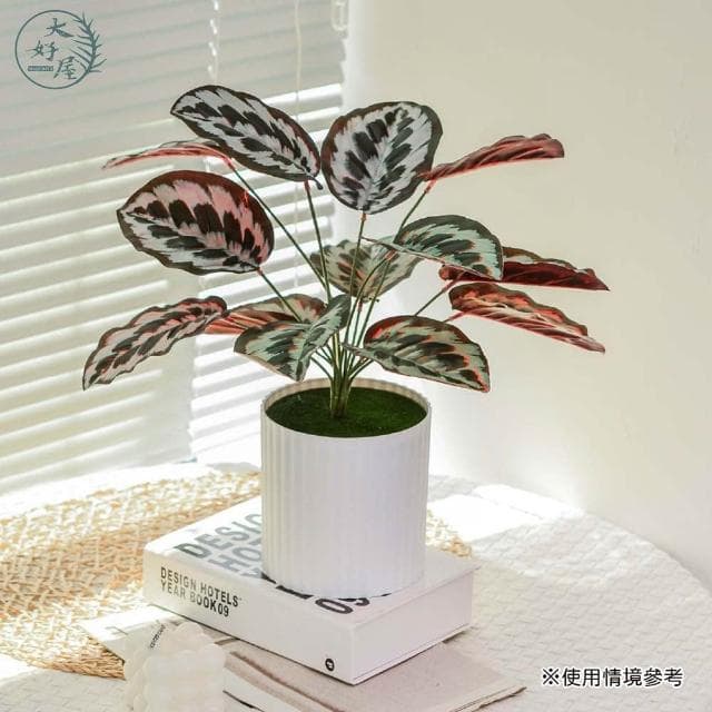 大好屋 仿真居家系觀葉植物盆組 龜背葉 春雨葉 仿真綠植 綠化盆栽 室內擺件