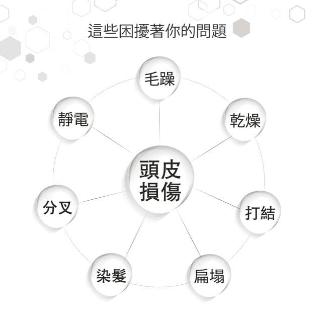 尚朋堂高速負離子吹風機SH-HD16