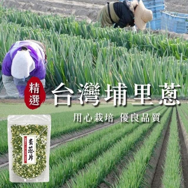 現貨 GD-埔里乾燥青蔥片80g