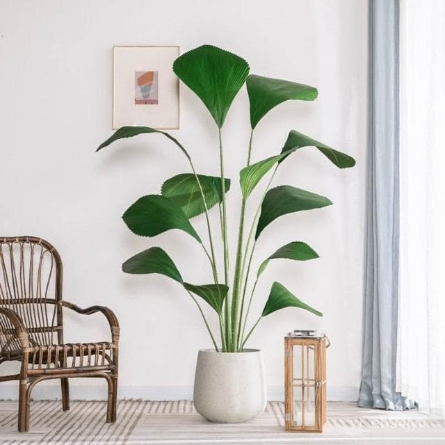 仿真圓葉樹 熱帶植物 蘇門答臘棕梠 大型北歐仿真植物 落地裝飾假盆栽 圓葉棕櫚 假樹 室內綠植擺件