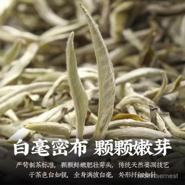 求求甄選 正宗特級全芽白毫銀針新茶嫩芽高山雲南白茶罐裝禮盒裝80g一罐