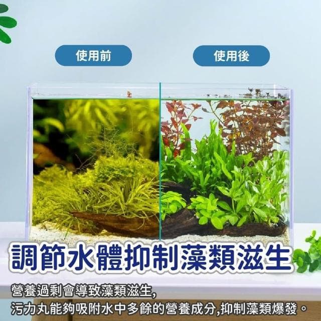 龜室 水質淨化球 魚缸水質處理 上部過濾 底濾 水族過濾濾材 淨水寶 蛋白綿 空氣缸 改變水黃 水濁