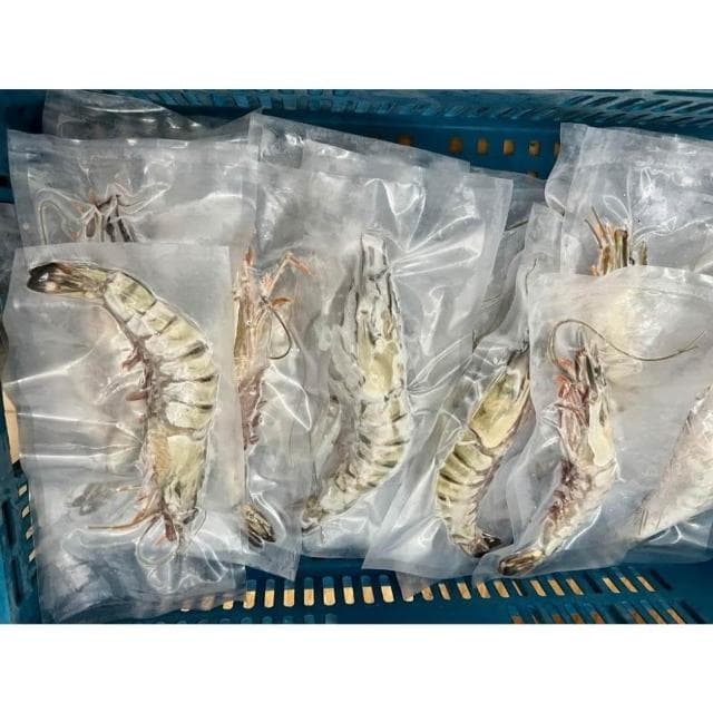 手臂蝦1隻 (100±10g) 燒烤/類龍蝦/草蝦/烤肉必備/年菜/火鍋/火鍋料/火鍋配料/中秋/團員/聚餐/聚會/團膳