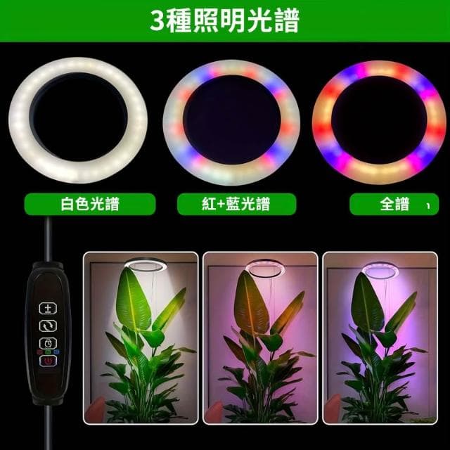 大植栽專用伸縮款植物燈 植物生長燈 USB植物燈 定時 led植物燈 全光譜 觀葉植物燈 多肉植物燈