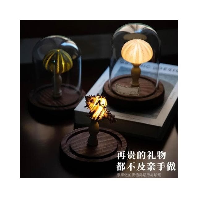 DIY手工生日禮物 古風海膽燈 海螺小夜燈 閨蜜情人節擺件