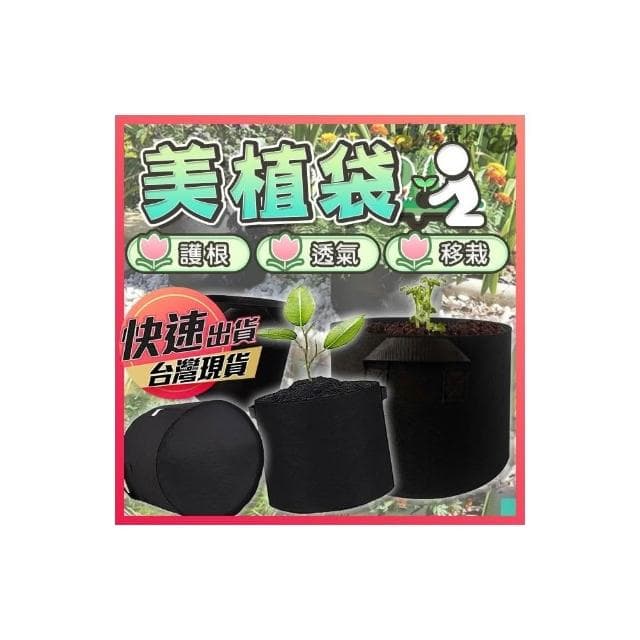 美植帶 植物種植袋 移植袋 種植袋 植栽袋 育苗袋 不織布 毛氈袋 無訪布 陽台種植 園藝袋 DIY種植 護根 環
