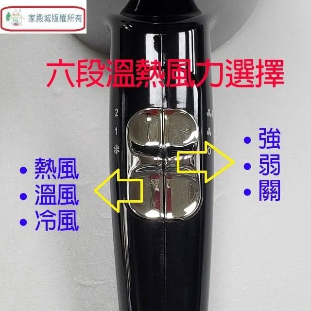 【達新牌】達新 TS-2900 銀離子抗菌吹風機