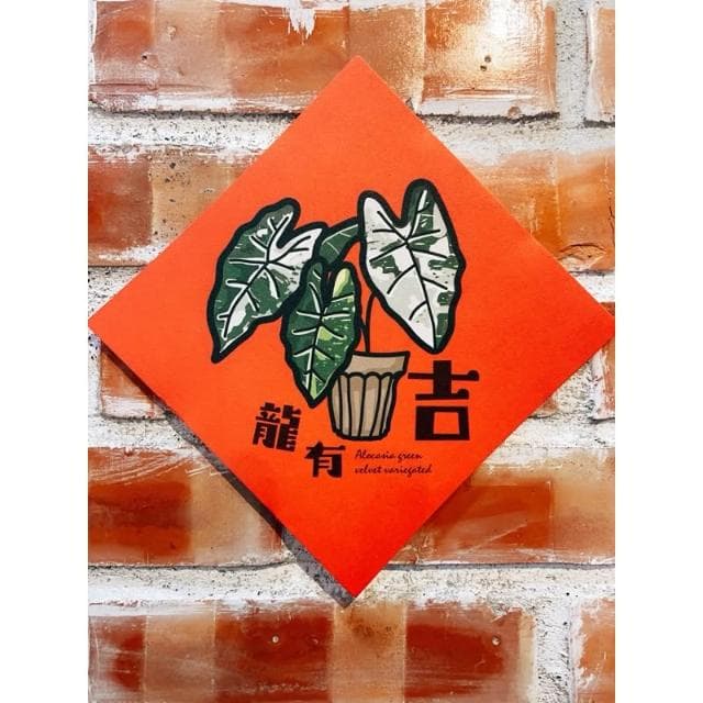春聯 創意春聯 植物春聯 觀葉春聯 斗方手繪春聯 文創春聯 招財 開運植栽