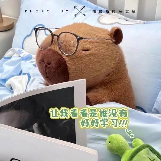 超大卡皮巴拉玩偶抱枕兒童毛絨玩具水豚公仔土撥鼠送女生日禮物