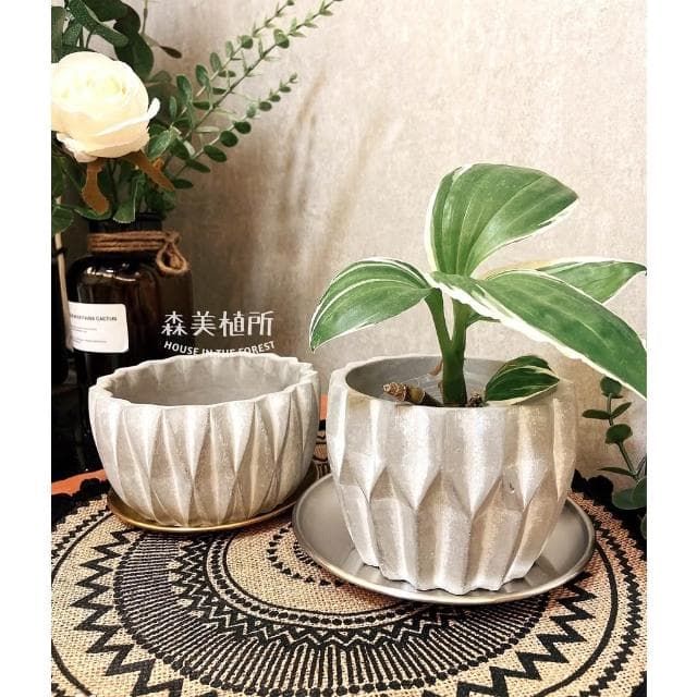 水泥盆 水泥深邃立體盆 水泥花盆 盆器 花盆 盆栽 花器 植物