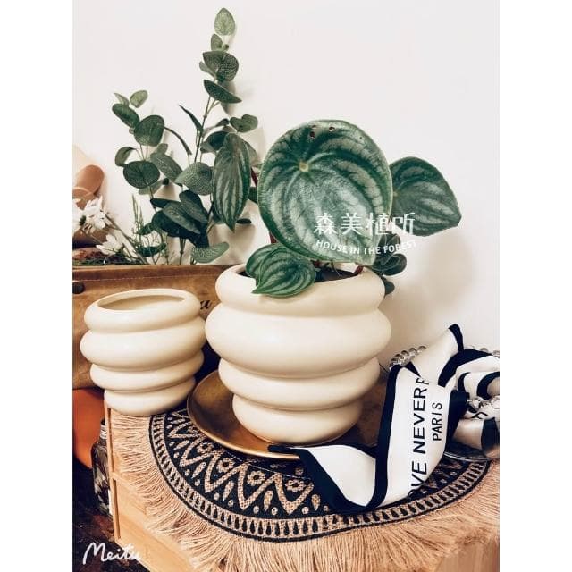陶盆 甜甜可頌陶盆 花盆 花器 植栽 觀葉植物 多肉植物 花燭 合果芋
