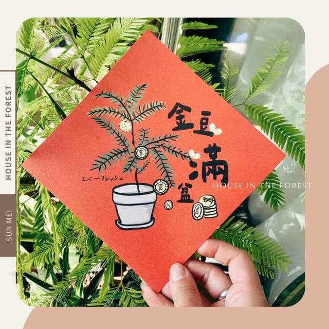 春聯 創意春聯 植物春聯 觀葉春聯 斗方手繪春聯 文創春聯 招財 開運植栽