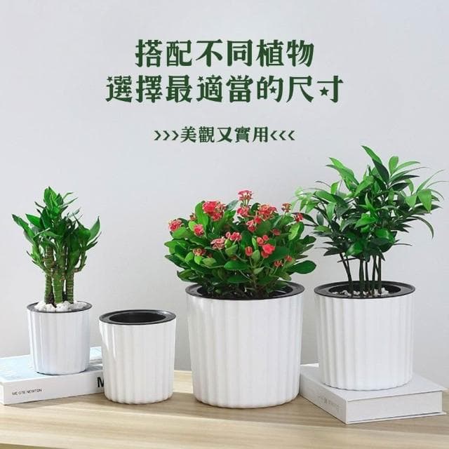北歐波紋自動吸水花盆 懶人花盆 水培花盆 吸水花盆 盆栽容器 水耕植物花盆 園藝 花器 小花盆 塑膠花盆
