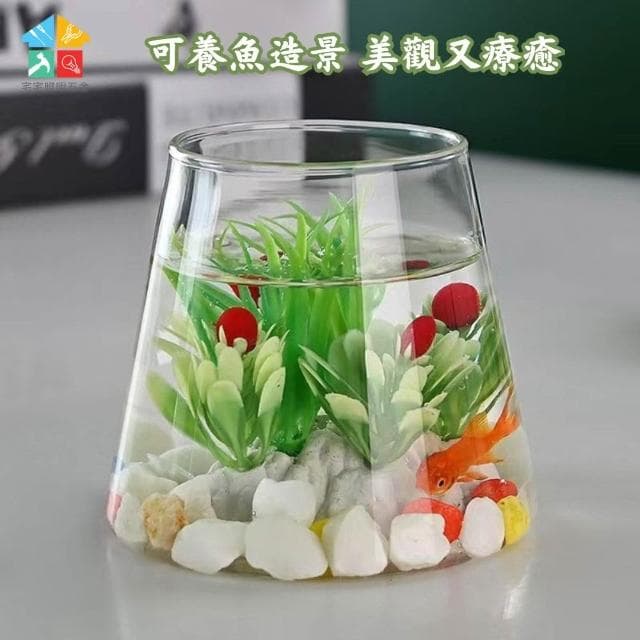 【含軟木塞】玻璃水培造型花盆 水耕植物盆 懶人花盆 水培盆 可養魚 水耕 觀賞盆栽 多肉植物 懶人盆栽