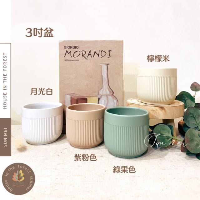 陶盆 多巴胺線條陶盆 花盆 花器 花架 花瓶 觀葉植物 多肉植物 植栽 植物 室內植栽 辦公室植栽