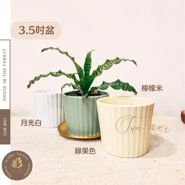 陶盆 多巴胺線條陶盆 花盆 花器 花架 花瓶 觀葉植物 多肉植物 植栽 植物 室內植栽 辦公室植栽