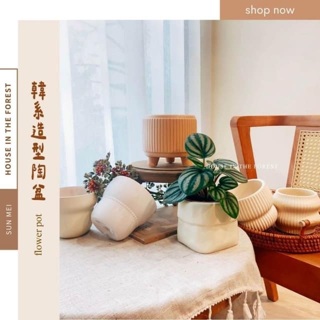 陶盆 韓系造型陶盆 花盆 花器 陶盆 花架 花瓶 觀葉植物 多肉植物 植栽 植物 室內植栽 辦公室植栽