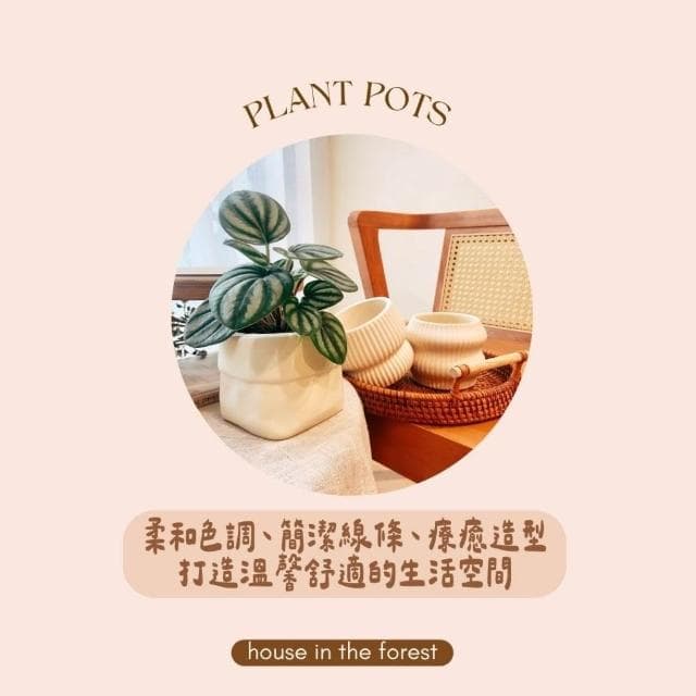 陶盆 韓系造型陶盆 花盆 花器 陶盆 花架 花瓶 觀葉植物 多肉植物 植栽 植物 室內植栽 辦公室植栽