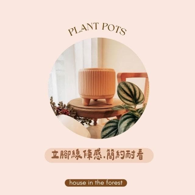 陶盆 韓系造型陶盆 花盆 花器 陶盆 花架 花瓶 觀葉植物 多肉植物 植栽 植物 室內植栽 辦公室植栽