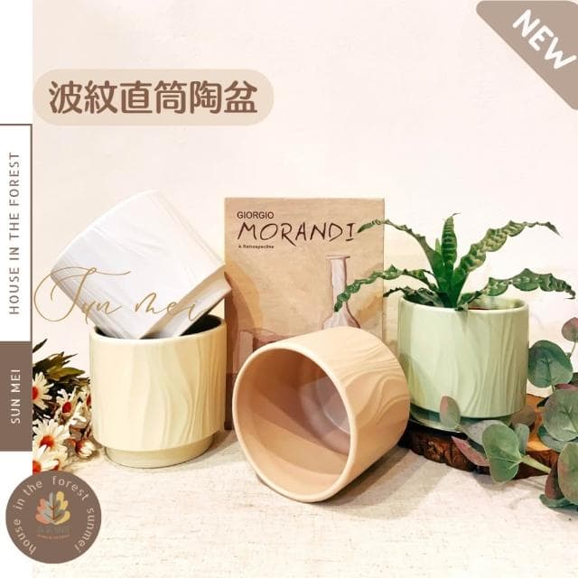 陶盆 線條陶盆 花盆 花器 盆器 多肉植物 觀葉植物 花禮 辦公室植栽 多巴胺 居家裝飾 花瓶 陶藝 室內植栽