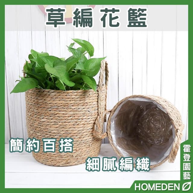 草編花籃 龜背芋 觀葉植物 竹籃 花籃 草編籃 摺疊籃 海草編織籃 室內盆栽北歐風【HOMEDEN霍登園藝】