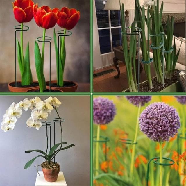 植物支撐桿 植物支架 蘭花支架 蝴蝶蘭 多肉植物 盆栽支架 花架 植物固定【HOMEDEN霍登園藝】