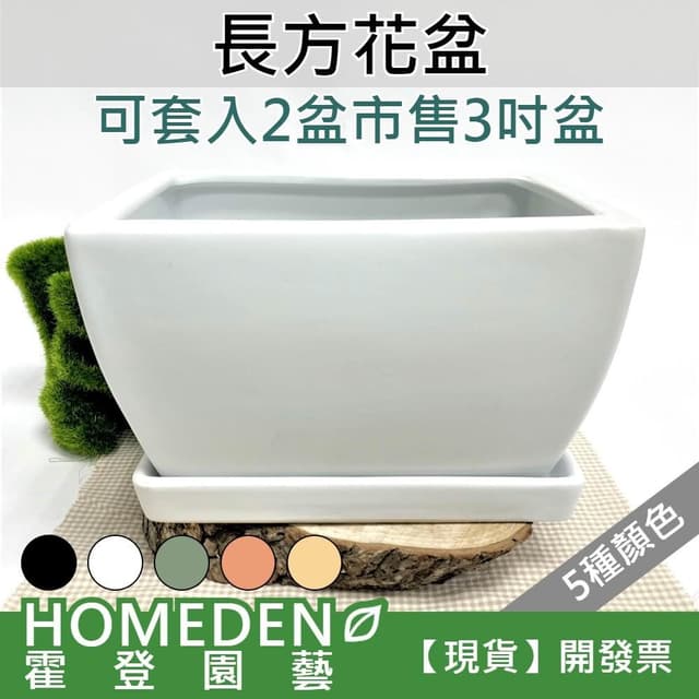 長方花盆 陶瓷花盆 長花槽 花器 多肉植物 辦公室盆栽 居家盆栽【HOMEDEN霍登園藝】