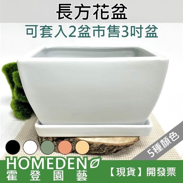 長方花盆 陶瓷花盆 長花槽 花器 多肉植物 辦公室盆栽 居家盆栽【HOMEDEN霍登園藝】